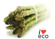 I Love Eco